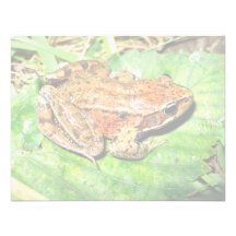 Northern Red legged frog Personalized Invites