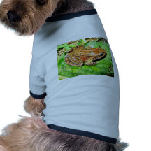 Northern Red legged frog Pet Clothing