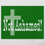 Not Ashamed! Romans 1:16 (with Cross) Custom Flyer