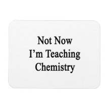 Not Now I'm Teaching Chemistry Flexible Magnet