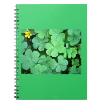 Notebook-Colour Therapy-Green 1