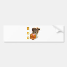 Nova Scotia Duck Tolling Boo Bumper Stickers