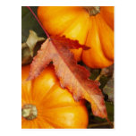 November Design Postcard