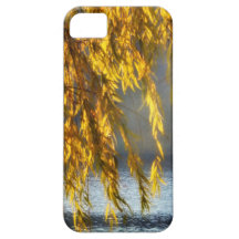 November Weeping Willows iPhone 5 Cases