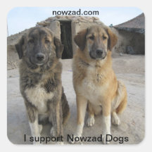 Nowzad Dogs Sticker