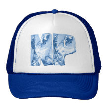 NP TRUCKER HATS