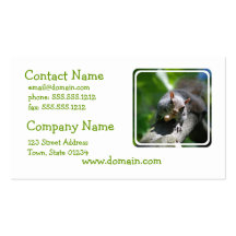 Nutty Squirrel Business Card