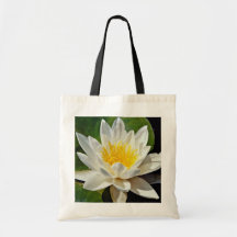 Nymphaea albida, white, hardy water lily  flowers canvas bag