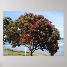 NZ Christmas Tree Poster