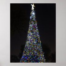 O Christmas Tree Posters