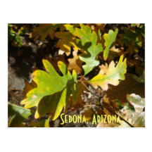 oak leaf, Sedona, Arizona Post Card