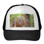 Oak Leaves Mesh Hat