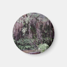 Oasis in the burning desert magnets
