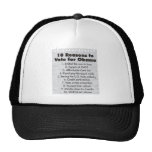 obamas accomplishments hat