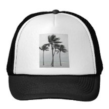 Ocean and Palms Trucker Hat