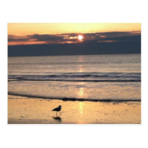 Ocean Postcard