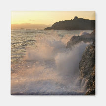 OCEAN SPRAY MAGNET