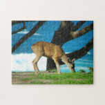 Oceanside Deer puzzles