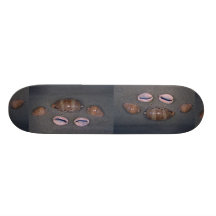 Ocellate and thick-edged cowries Shell Skateboard