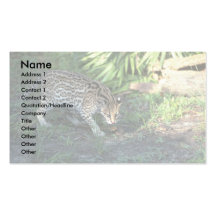 Ocelot Business Cards