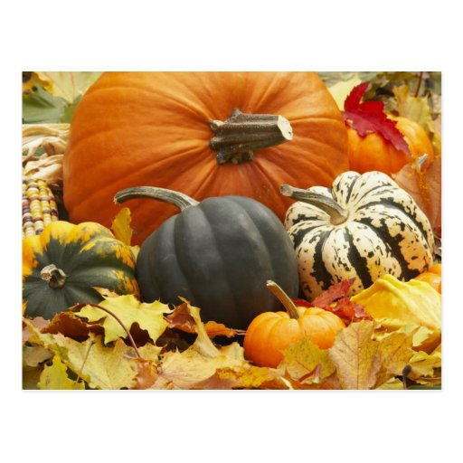 October Decoration Postcard