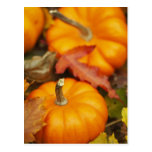 October Design Postcard