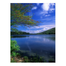 October Mountain State Forest Pond Postcards