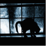 October Showers Cat Silhouette At Window 2 Blue Photo Cutout