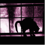 October Showers Cat Silhouette At Window 2 Pink Photo Sculpture
