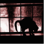 October Showers Cat Silhouette At Window 2 Red Cut Out