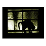 October Showers Cat Silhouette At Window Yellow Post Card