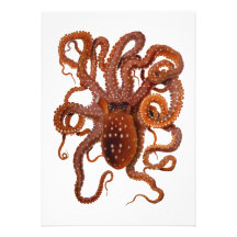 Octopus Macropus Atlantic White Spotted Octopus Personalized Invites