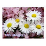 Oh Baby! New Baby pregnancy Announcement cards Postcard