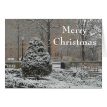Oh Christmas Tree Greeting Card