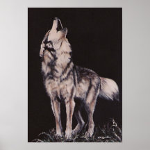 Oh No... Coyote Art print