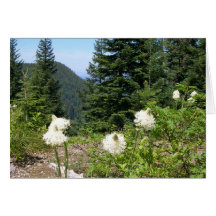 Old Baldy Helicopter Landing Site Greeting Cards