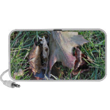 Old dead leaf on grass travelling speaker