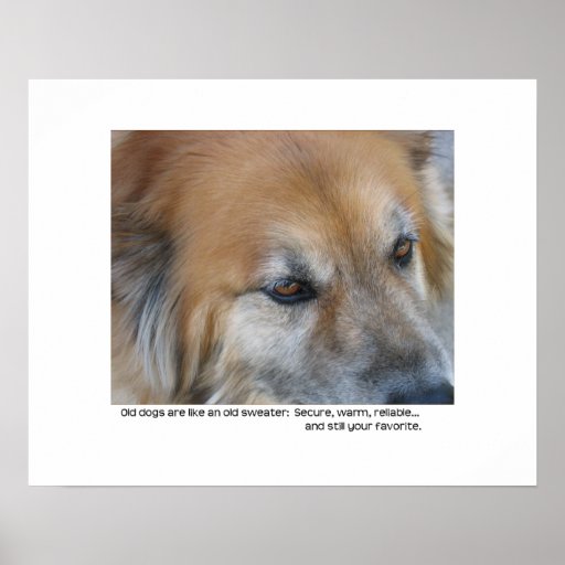 Old dog quote print