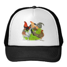 Old English Game Quartet Hats