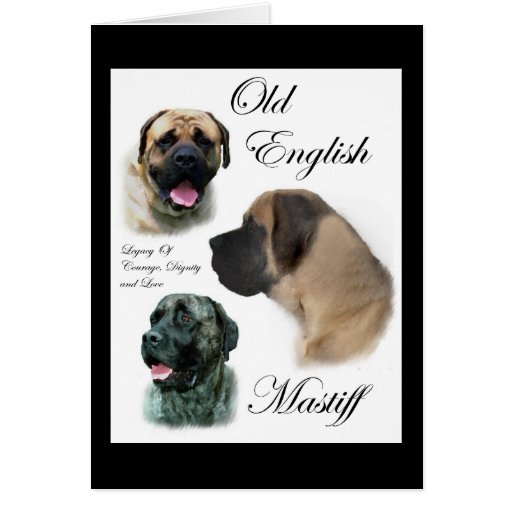 Old English Mastiff Gifts Greeting Cards
