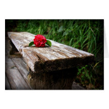 Old Garden Bench Greeting Cards