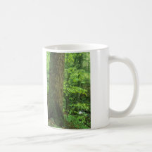 Old Growth Tree Joyce Kilmer Memorial Forest Coffee Mugs