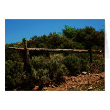 Old Horse Rail Greeting Cards