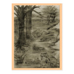 Old Meadow Postcard