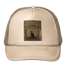 Old Photo Tomb Cat Mesh Hats