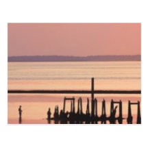 Old Pier Postcard