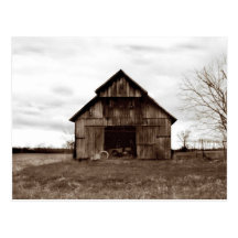 Old Tobacco Barn Postcard