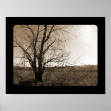 Old Tree In Winter Print