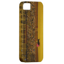 Ole! iPhone 5 Cases