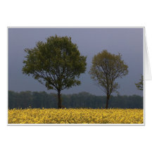 Olfen, Germany Greeting Card